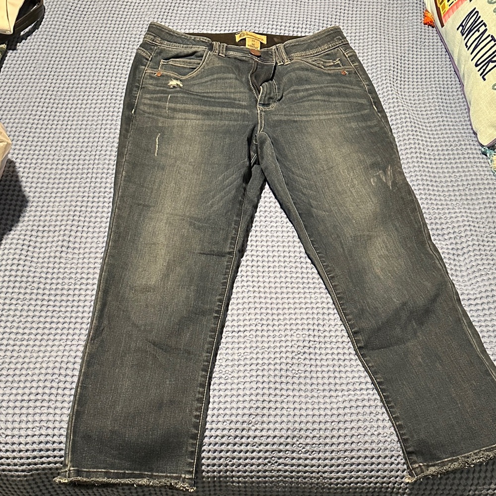 Cropped Democracy Blue Women's Jeans